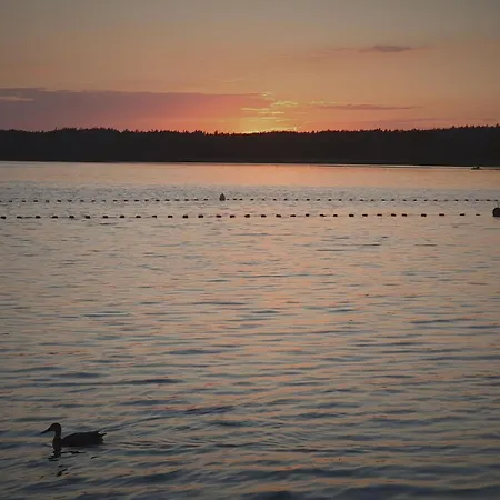 Dom wakacyjny Przy Leśniczówce *