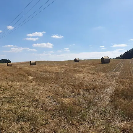 Przy Lesniczowce Nyaraló