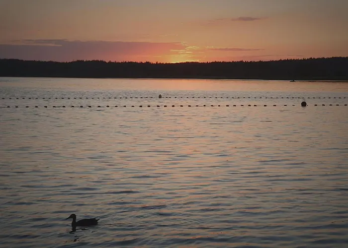 Prázdninový dům Przy Lesniczowce *