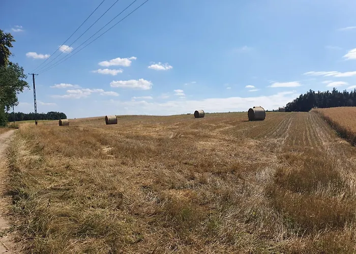 Przy Lesniczowce Prázdninový dům