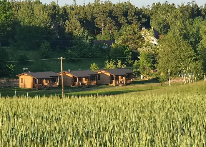 Przy Lesniczowce Wiele